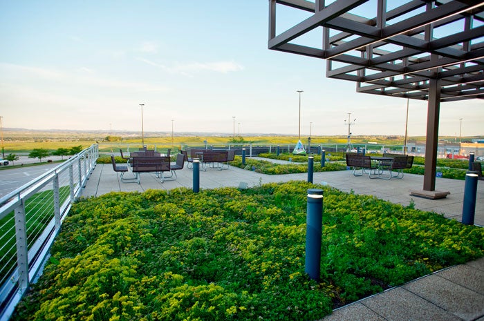 Of Cattle and Queens: Buffalo Bill Cody - My Yellowstone Park