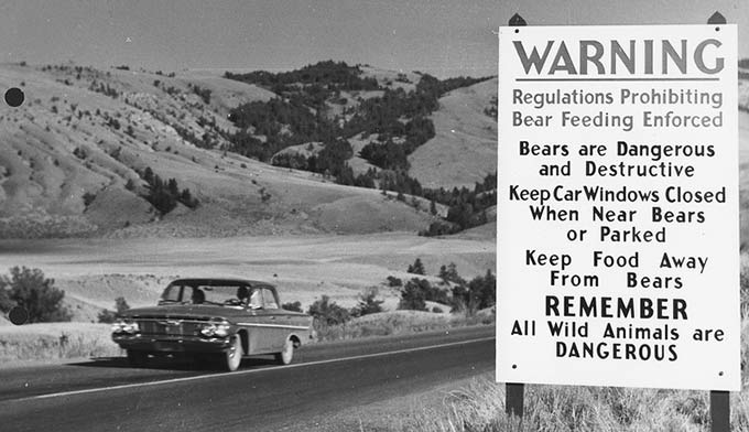 YS-Bear-Road-Sign_WikiPD_680 Yellowstone sign warning of bears