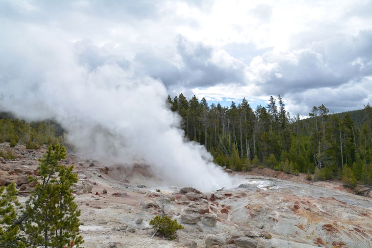 Steamboat Geyser in Norris Back Basin.