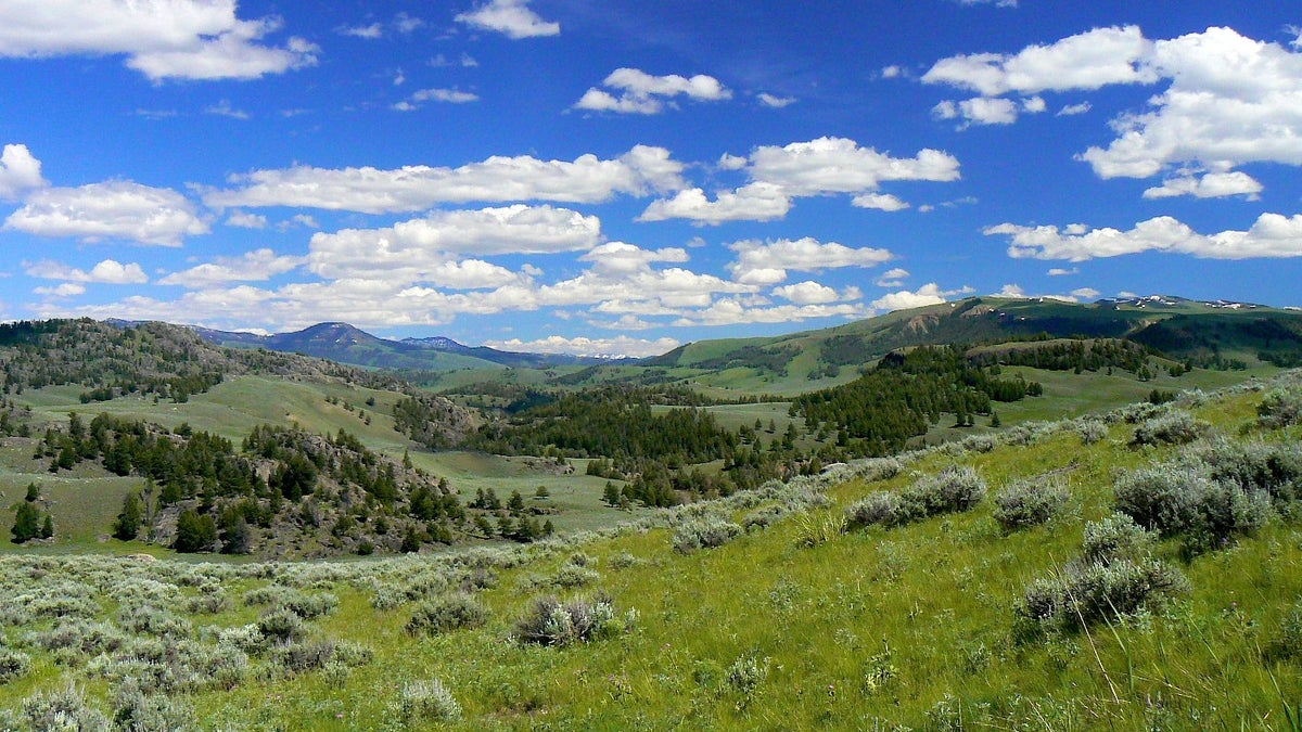 Hiking Yellowstone’s Hill Loop Trail