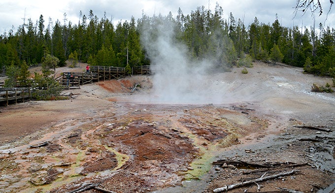 Norris-Back-Echinus-Geyser_Gloria_680 Echinus Geyser in the Norris Back Geyser Basin. Photo by Gloria Wadzinski