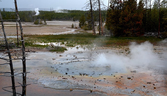 Norris-Back-Minute-Geyser_Gloria_680 Minute Geyser in the Norris Back Geyser Basin. Photo by Gloria Wadzinski