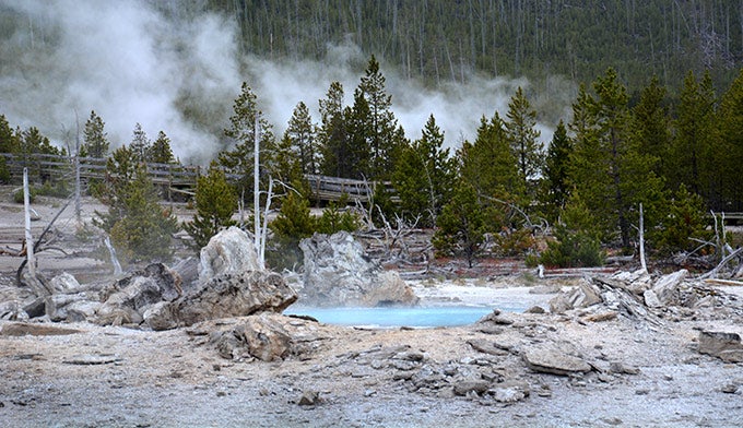 Norris-Back-Porkchop-Geyser_Gloria_680 Porkchop Geyser in Norris Back Basin. Photo by Gloria Wadzinski