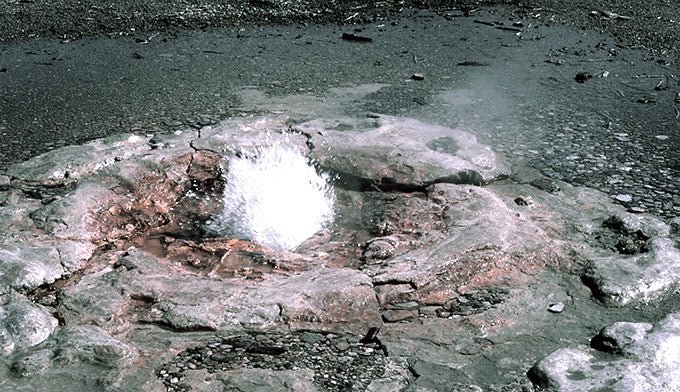 Norris-Back-Vixen-Geyser_NPSWilliamSKeller1978_680 Vixen Geyser. Photo by NPS William S Keller; 1978