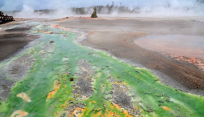 Norris-Porcelain-1_Gloria_680 Bright green and yellow runoff in Norris Porcelain Basin. Photo by Gloria Wadzinski