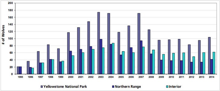 2014-YS-wolf-report-Population-graph_NPS_886x366 Chart of Yellowstone wolf population from 1994 to 2014