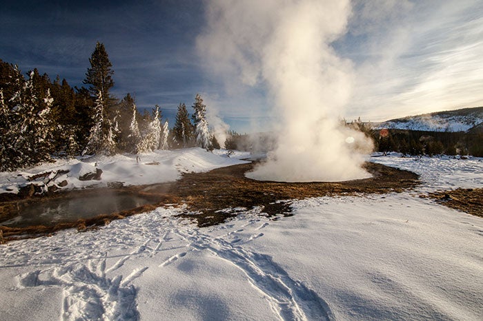 YS-winter-hotspring_WildlandTrekking_700 Yellowstone hot spring in winter