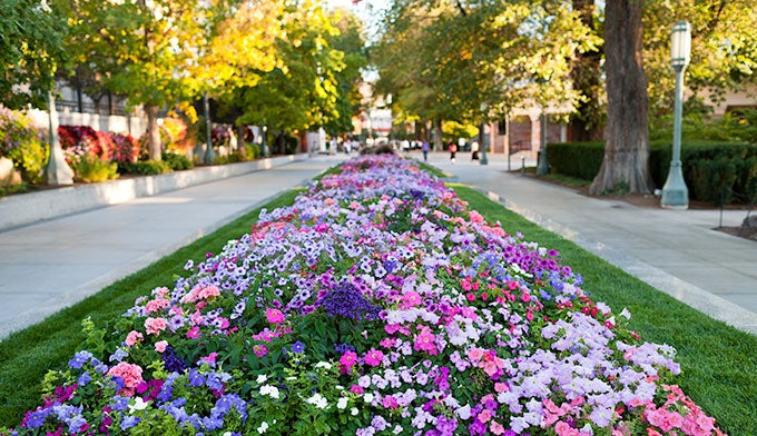 Temple-Square-gardens_IntellectualReserveInc_680 One of the many gardens at Temple Square.