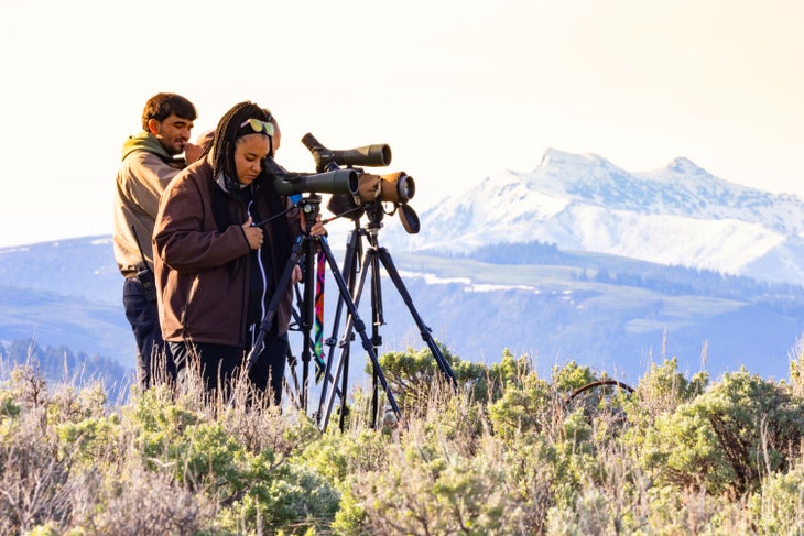 Watching wolves in Lamar Valley in Yellowstone