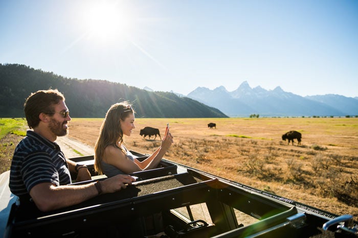 EcoTourAdventures-SafariStyle-bison_courtesy_700 EcoTour Adventures vans with roof hatches that open
