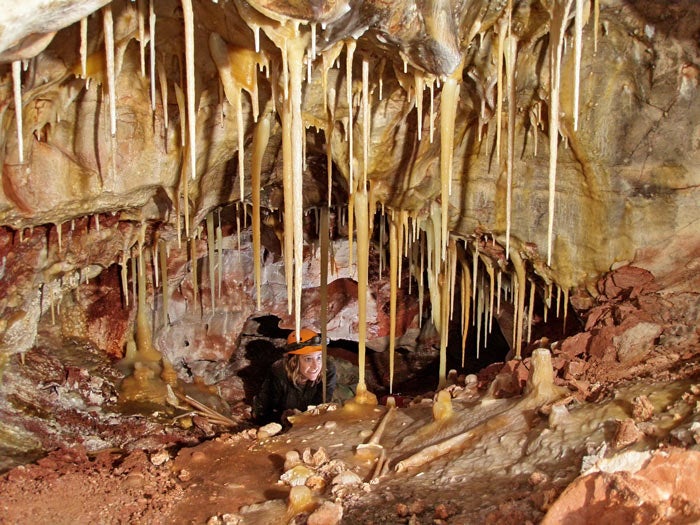 SD-Wind-Cave-Stalactites_WikiPD_700v Wind Cave's rare stalactites