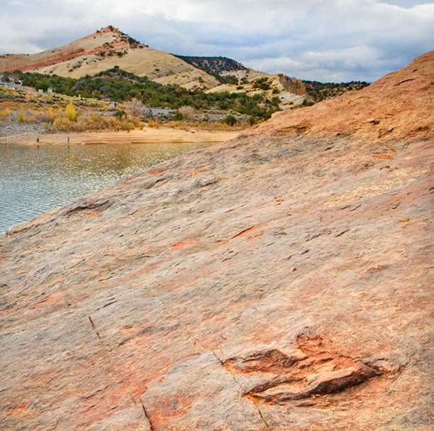 UT-Red-Fleet-SP-Dinosaur-Track_KimBarton_UintahCountyTravelAndTourism_612x607 A dinosaur track at Red Fleet State Park.