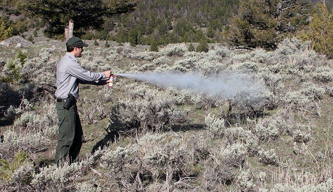 Bear-Spray_NPSDianeRenkin_680x392 How to Hold Bear Spray. Photo NPS Diane Renkin
