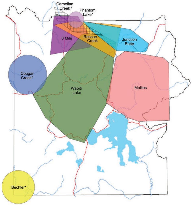 How Many Wolves are in Yellowstone?