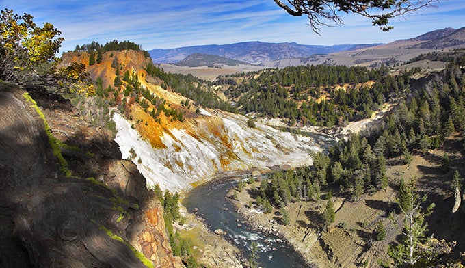 YS-Canyon-River-Autumn_DP_680 Grand Canyon of the Yellowstone in Autumn