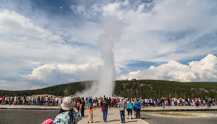 Old-Faithful-summer-crowd_NPSJacobWFrank_700 A crowd watches Old Faithful erupt on a summer afternoon.