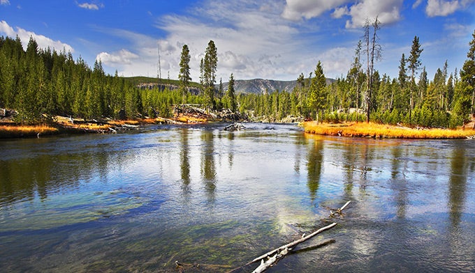 YS-Gibbons-River-Autumn_DP_680 Yellowstone's Gibbons River in Autumn