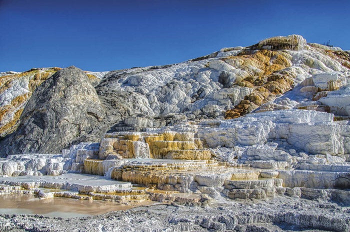 YSDayTours-MammothHotSprings_BrianMcCooey_courtesy_700 See Mammoth Hot Springs with Yellowstone Day Tours