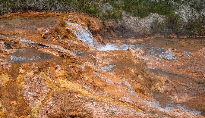Fairy-Trail-Runoff-2_Gloria_680 Geyser runoff from Imperial Geyser. Photo by Gloria Wadzinski