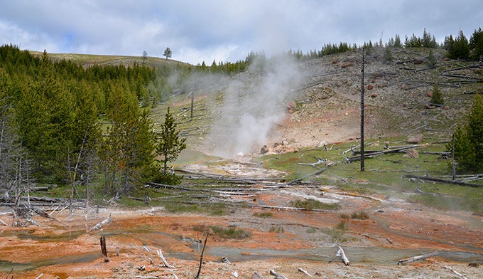Spray-Geyser_Gloria_680 Spray Geyser. Photo by Gloria Wadzinski
