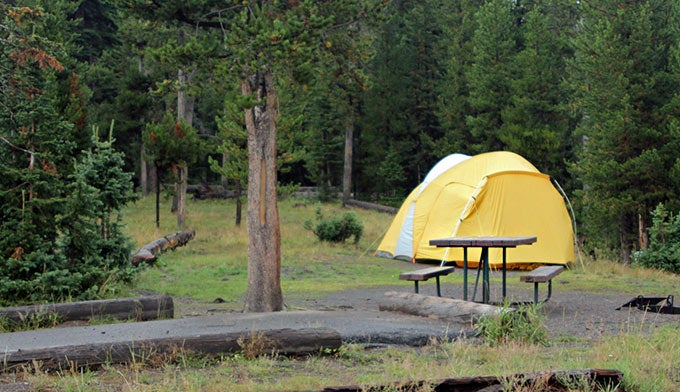 Where Should I Camp In Yellowstone National Park