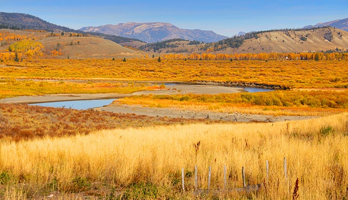 YS-Lamar-Valley-Autumn_DP_680 Yellowstone's Lamar Valley in Autumn