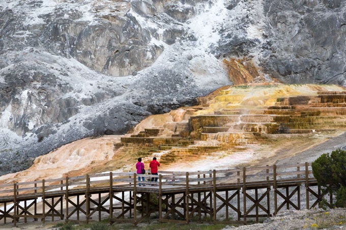 The boardwalk at Yellowstone's Mammoth Hot Springs.