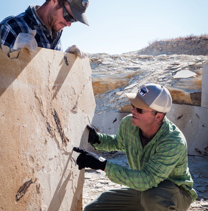 Hunting for fossils at a private quarry near Fossil Basin