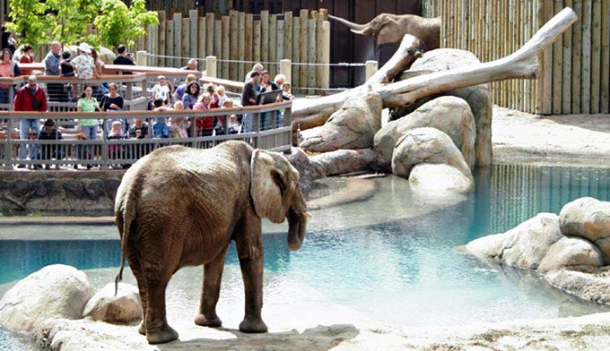 Salt-Lake-Hogle-Zoo-2_UtahOfficeOfTourism_680 The Hogle Zoo. Photo courtesy of the Utah Office of Tourism