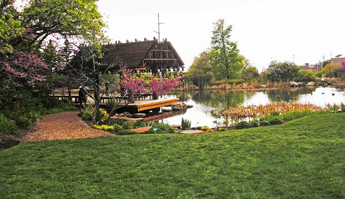 SLC-Red-Butte-Garden-Middle-Pond_FlickrAndreyZharkikh_680 The Middle Pond area of Red Butte Garden in Salt Lake City. Photo by Andrey Zharkikh via Flickr
