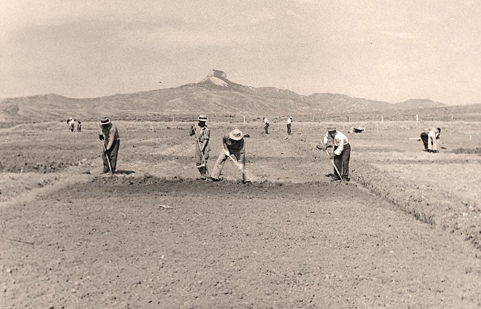 HeartMountain-gardening_HMWyomingFoundationOkumotoCollection_700 Farming at Heart Mountain