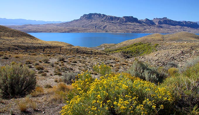 Cody-Buffalo-Bill-Reservoir-wildflowers_DP_680x392 Buffalo Bill Reservoir near Cody, Wyoming