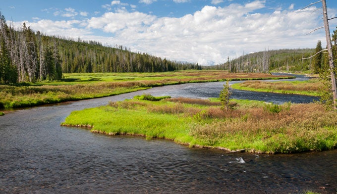 yellowstone-lewis-river Lewis River in Yellowstone