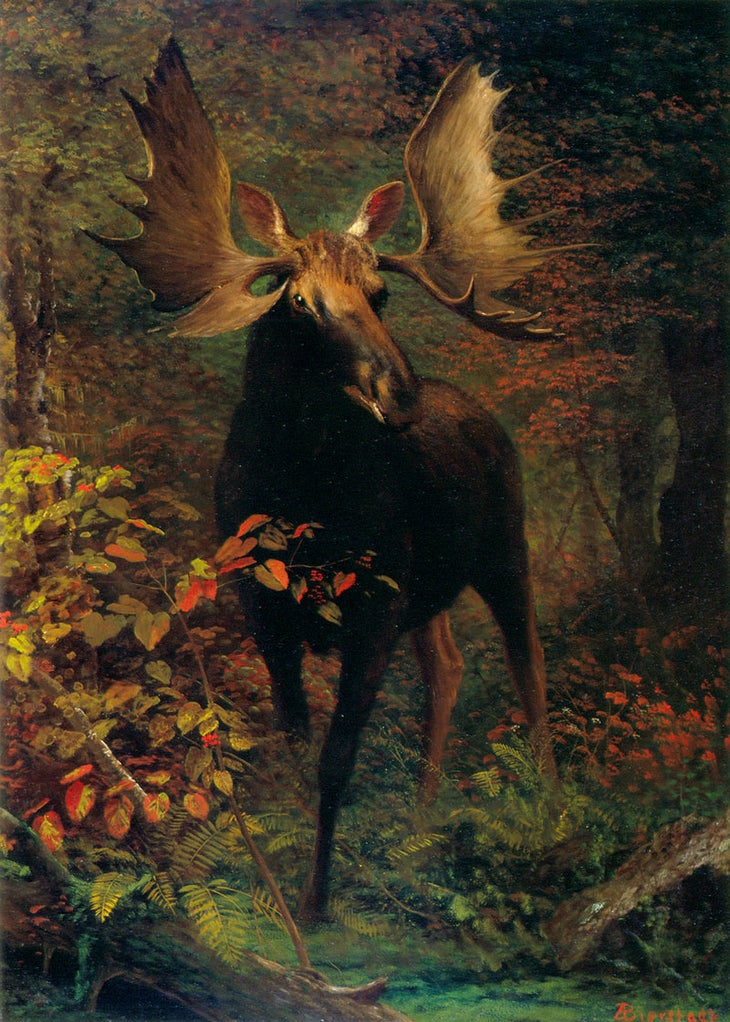 Albert Bierstadt (German, 1830–1902), In the Forest, c. 1880. Oil on Canvas. 36 x 26 inches. JKM Collection®, National Museum of Wildlife Art.