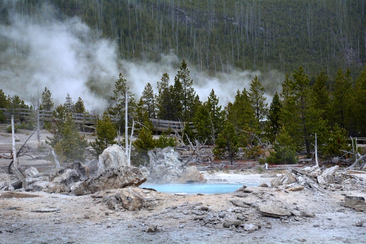 Porkchop Geyser in Yellowstone's Norris Back Basin.
