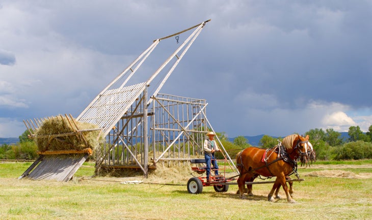 Grant Kohrs Ranch
