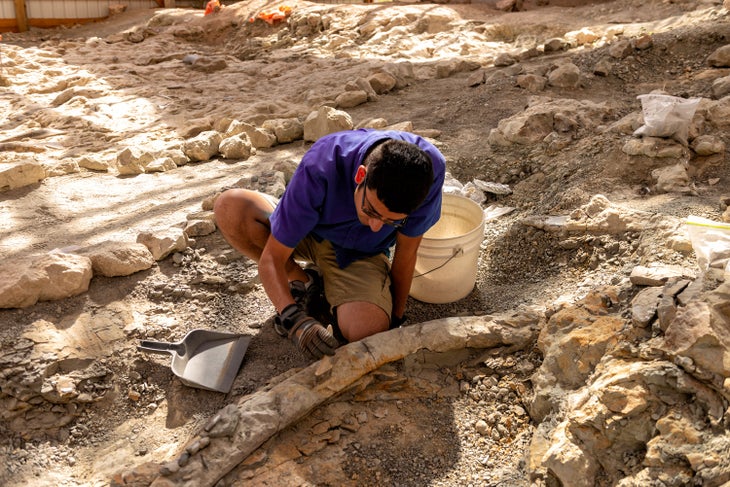 Working on an excavated dinosaur bone at the Wyoming Dinosaur Center in Thermopolis