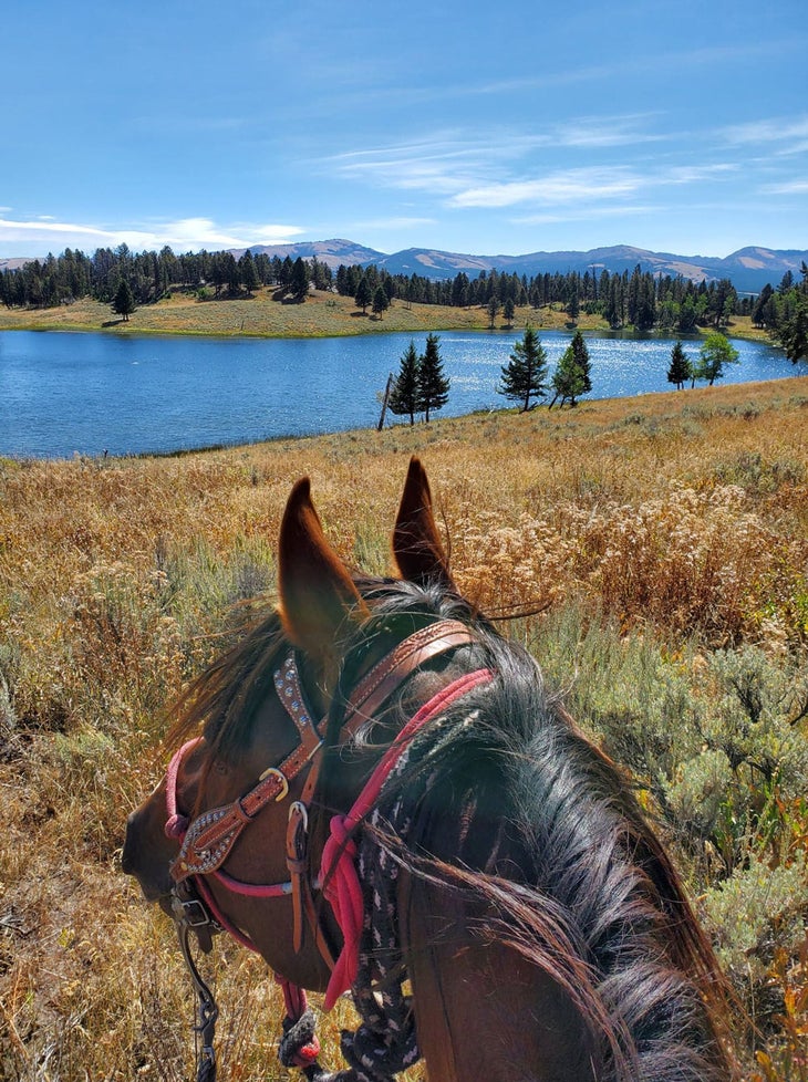 Horseback riding on the Blacktail Plateau in Yellowstone