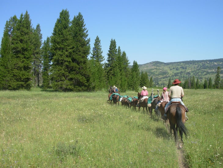 Trail ride in Yellowstone with Wilderness Trails