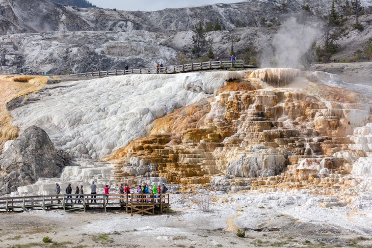 Park visitors on the boardwalks at Mammoth Hot Springs in Yellowstone