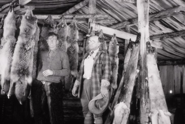 Yellowstone Ranger Ted Ogsten and Chief Ranger Sam Woodring with coyote pelts; 1927