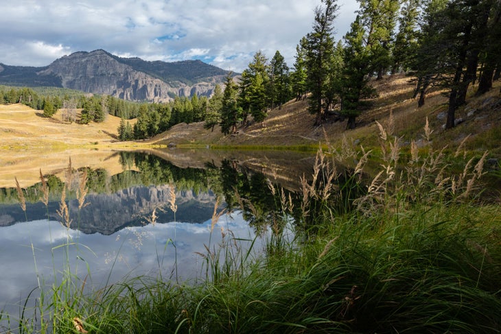 Autumn reflections at Trout Lake in Yellowstone