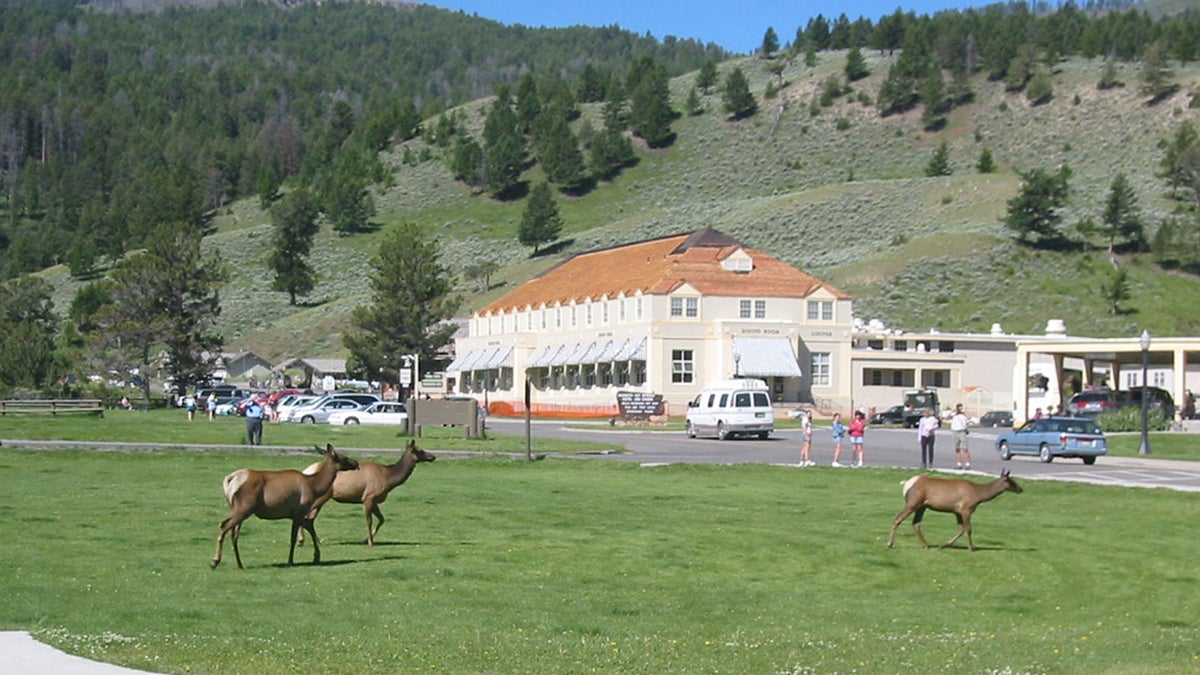 Yellowstone’s Historic Mammoth Dining Room Restaurant