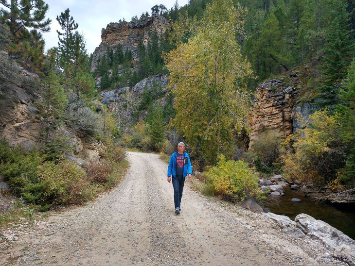 Crazy Woman Canyon near Buffalo, Wyoming
