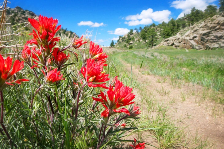 Trail near Wheatland, Wyoming