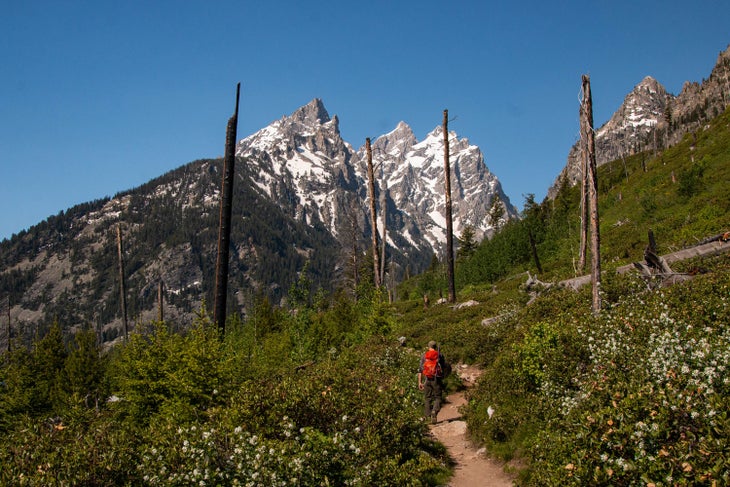 Jenny Lake Loop Trail in Grand Teton National Park