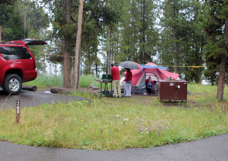 Bridge Bay Campground in Yellowstone