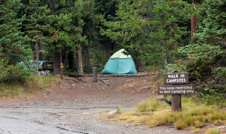 Lewis Lake Campground in Yellowstone