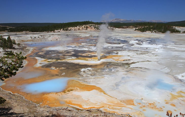 Porcelain Springs in Norris Geyser Basin, Yellowstone