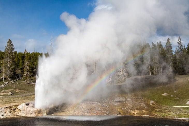 The Riverside Geyser in Upper Geyser Basin often creates rainbows.